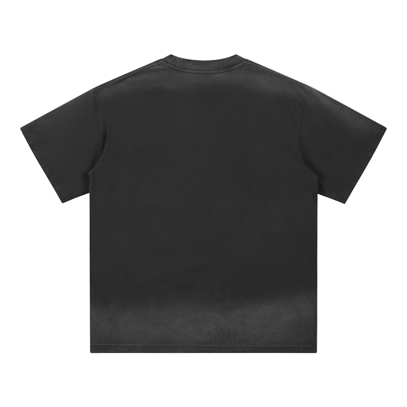 Petite Crew Neck Sunfade Edge T-Shirt