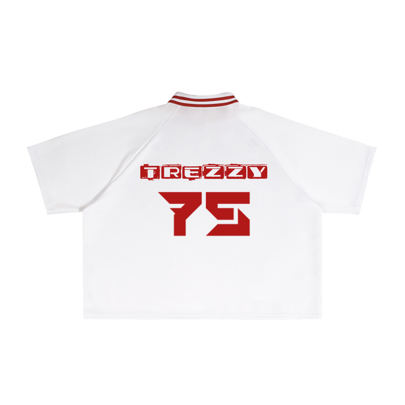 Contrast Lapel Collar Boxy T-Shirt